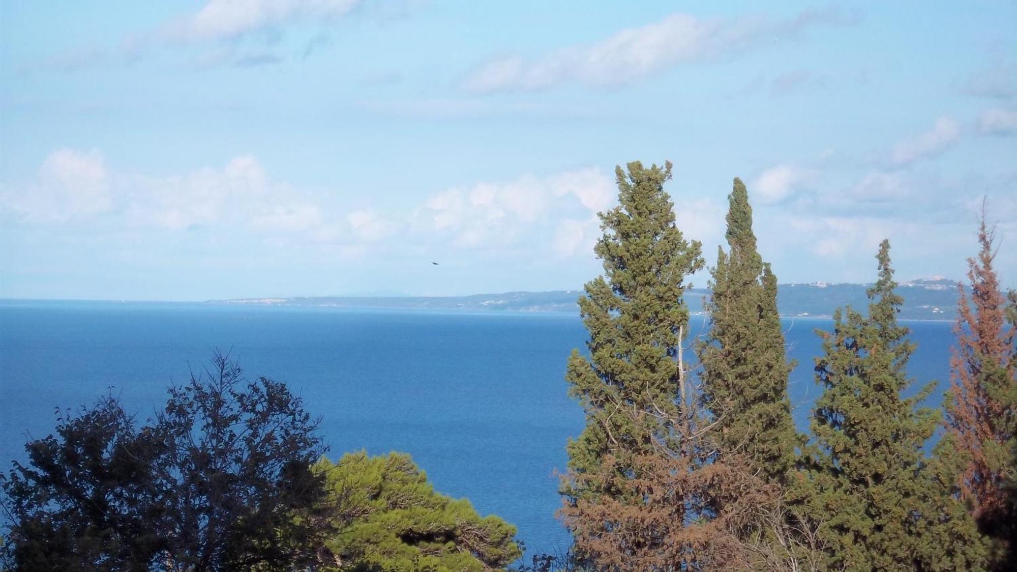 Belvedere Zakynthos Studios Василикос Номер фото