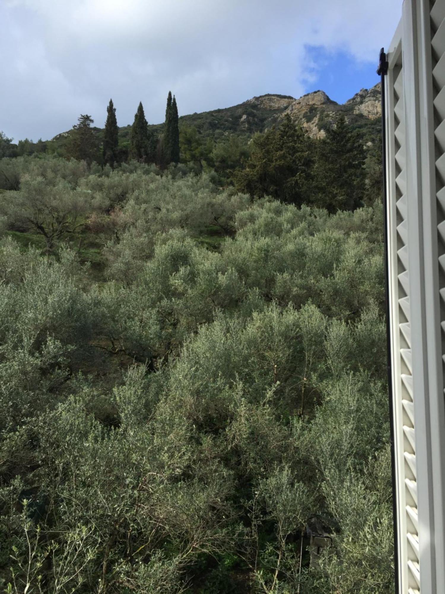 Belvedere Zakynthos Studios Василикос Номер фото