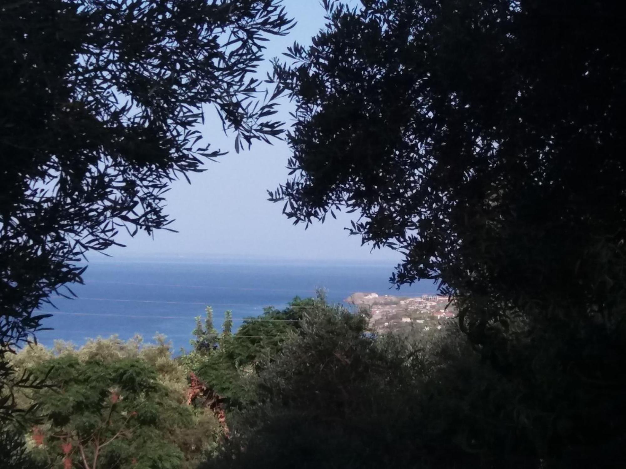 Belvedere Zakynthos Studios Василикос Номер фото