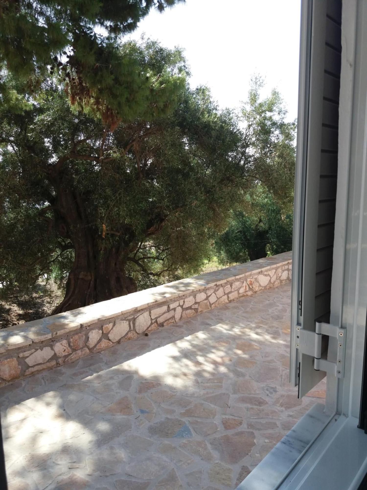 Belvedere Zakynthos Studios Василикос Номер фото